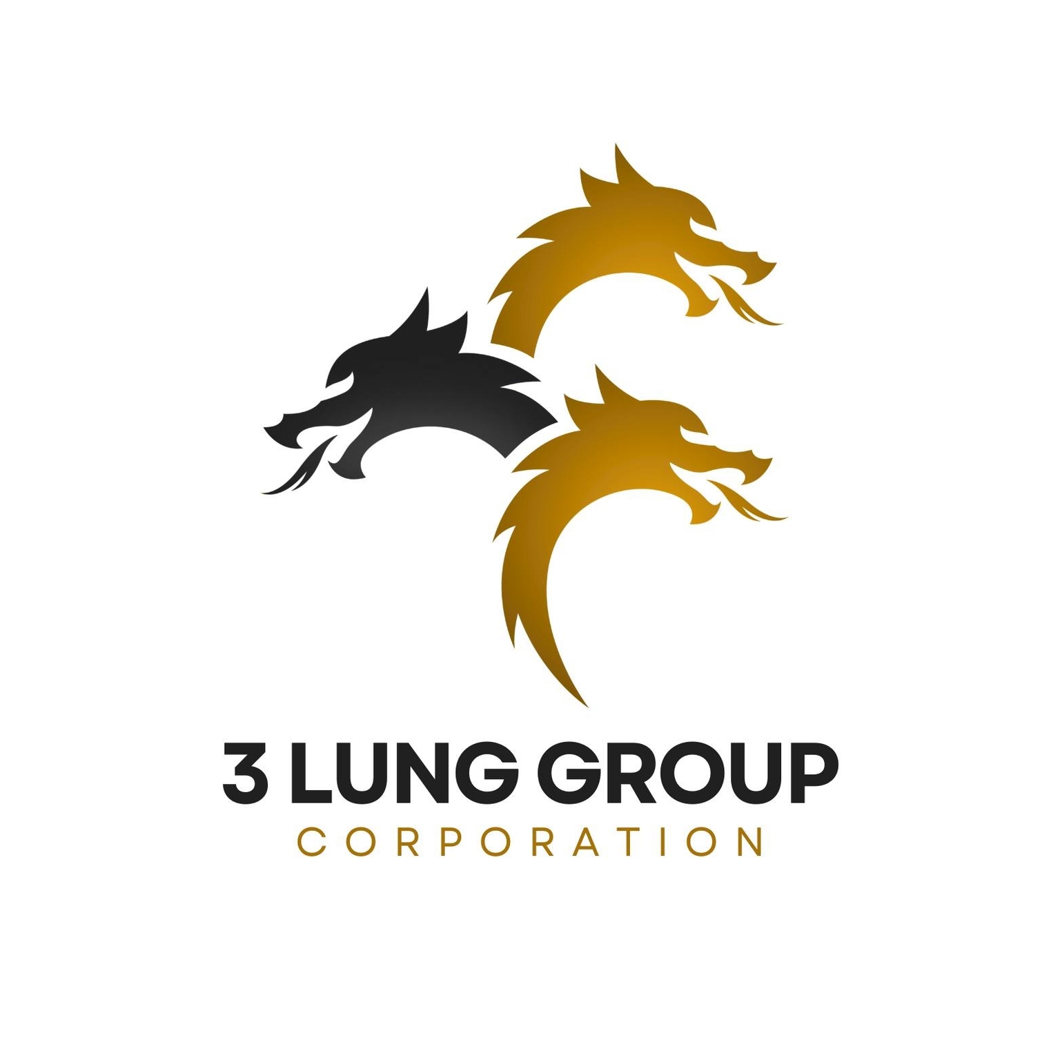 3 Lung Group Corp.