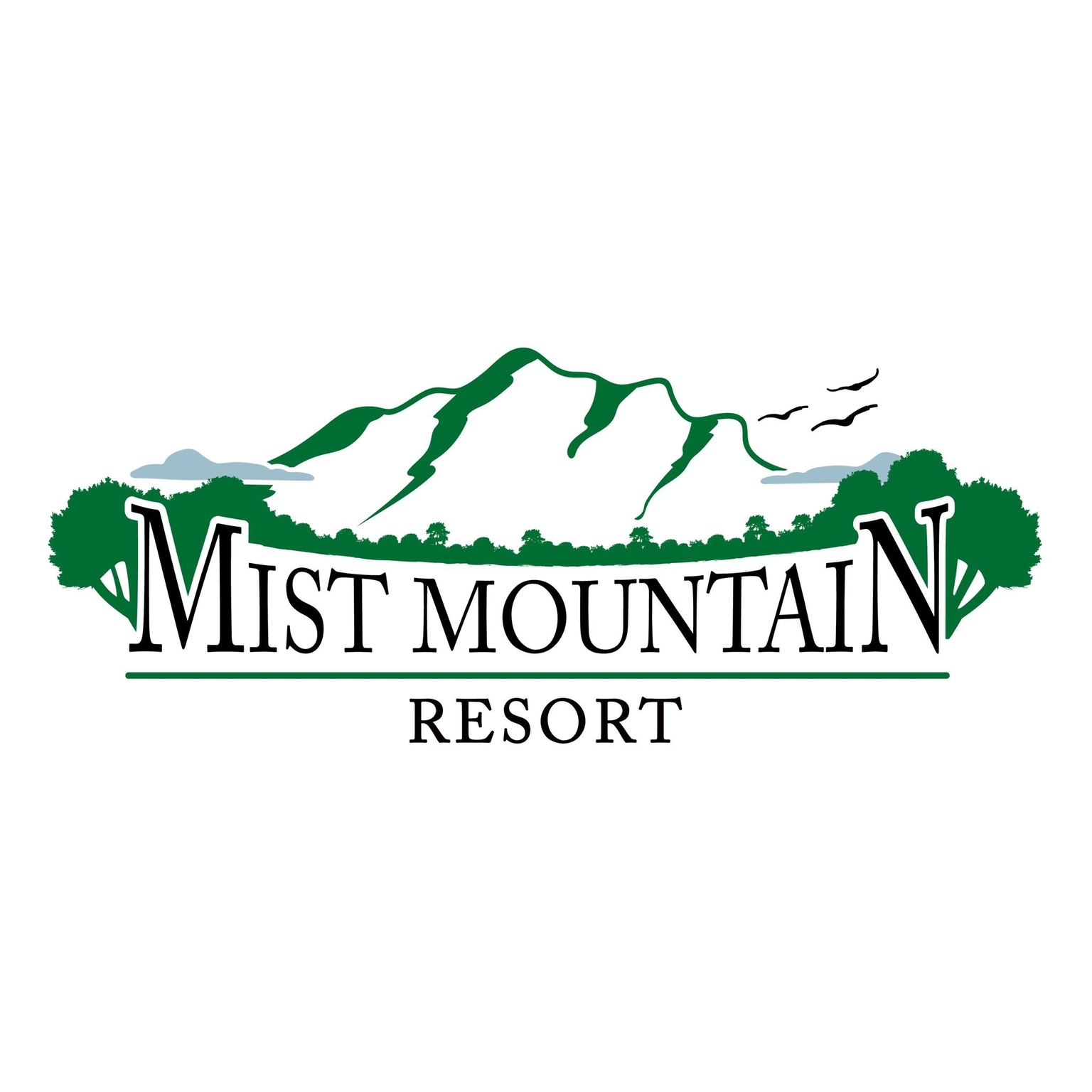 V8 Mountain Resort Corp